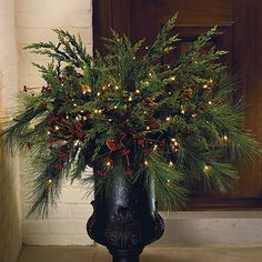 a potted plant with christmas lights in it on the front step of a house