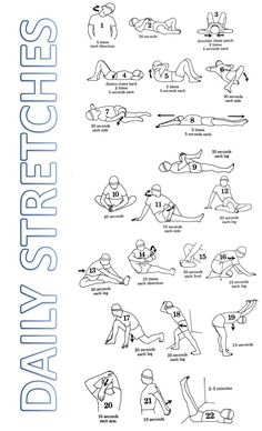 an instruction manual on how to do the daily stretch