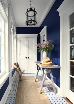 a hallway with blue walls, white trim and a dog on the floor in front of it