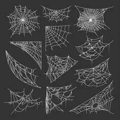 various spider webs on black background