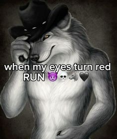 a wolf wearing a hat with the caption when my eyes turn red, run