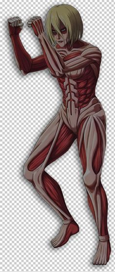 an image of a man with muscles in the shape of a human body, transparent background