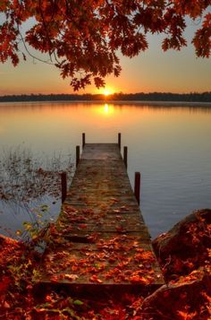 the sun is setting over a lake with a dock in front of it and leaves on the ground