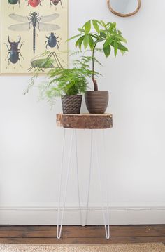 two potted plants are sitting on a stand in front of a wall with pictures