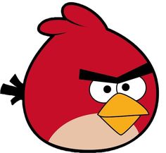 an angry red bird with big eyes