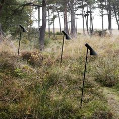 three black lamps sitting in the middle of a grass covered field next to tall trees