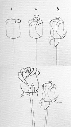 how to draw a rose step by step