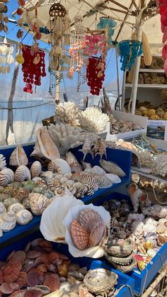 various seashells and other sea shells are on display in a market stall at the beach