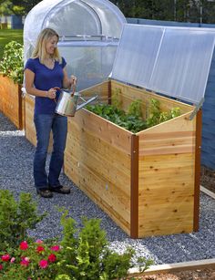 a woman watering plants in a raised garden bed