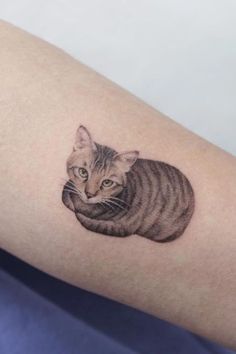 a small cat tattoo on the arm