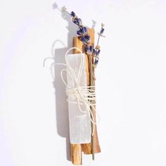 lavender sticks tied up with twine on white background