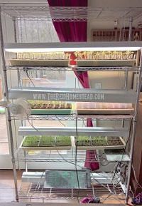 a shelf filled with lots of different types of plants and seeding trays on top of each other