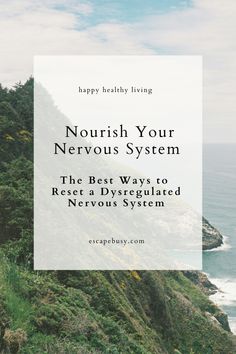 Taking care of your nervous system is about listening to your body and making small, intentional changes to support your well-being. By incorporating these tips into your daily routine, you'll be well on your way to feeling more relaxed, centred, and ready to take on whatever life throws your way. How to Nourish Your Nervous System. The best ways to reset a dysregulated nervous system. How to heal your nervous system with easy tips. Holistic Healing and wellness. Inner Healing for a balanced nervous system. Signs and causes of a Dysregulated Nervous System. What is the Nervous System? Lifestyle Changes to Reset the Nervous System. Nutrition for Nervous System Health. Fall Rituals, Dysregulated Nervous System, Wellness Rituals, Healthy Healing, Healing Era, Parasympathetic Nervous System, Deep Breathing Exercises, Supportive Friends, Let It Out