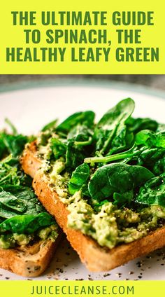 the ultimate guide to spinach, the healthy leafy green