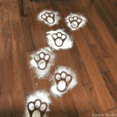 dog paw prints made out of white powder on the floor