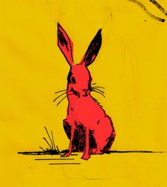 a drawing of a rabbit sitting on the ground with grass in front of it and an orange background