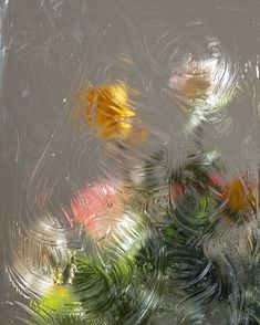 an abstract photograph of leaves and flowers on a frosted glass window pane with water droplets