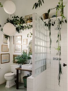 a bathroom with plants hanging from the ceiling and a toilet in the shower stall next to it