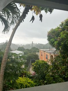 the view from inside a house looking out at trees and houses in the distance with rain falling on them