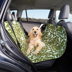 a dog sitting in the back seat of a car