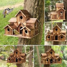 several pictures of bird houses hanging from a tree