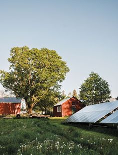 several solar panels are on the grass in front of some red barn buildings and trees