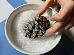 a person is holding a pine cone in a bowl of white sugar on a blue and white tablecloth