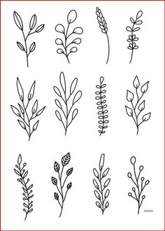 the different types of plants drawn by hand