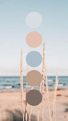 an image of a beach scene with the ocean in the background and circles above it