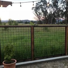 a potted plant sitting on the side of a wooden deck next to a fence