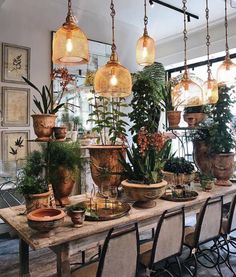 a table topped with lots of potted plants and hanging lights above it's head