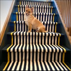 a small dog sitting on top of a set of stairs next to a stair case