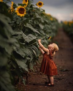 Photography Poses Sunflowers, Sunflower Field Photoshoot Kids, Photo Ideas In Sunflower Fields, Posing In Sunflower Field, Sunflower Mini Session, Sunflower Shoot, Bicycle Wallpaper, Photography In Sunflower Fields