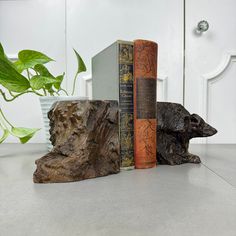 two books are placed next to each other on a table with a plant in the background