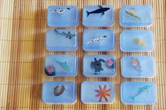 Ocean Soap Sea Animal Soap Aquarium Soap Pool Party Fish Soap, Handmade Soap Gift Set, Ocean Soap, Diy Soaps, Sensory Bags, Soap Gifts, Baby Soap