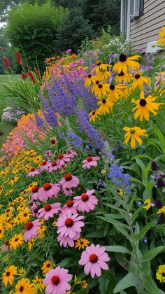 colorful flowers line the side of a house