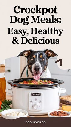 a dog sticking its head in an crockpot with the words crockpot dog meals easy, healthy and delicious