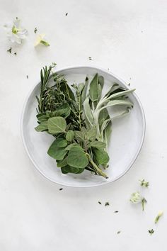 a white plate topped with green leaves and herbs