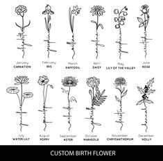 the different types of flowers and their names