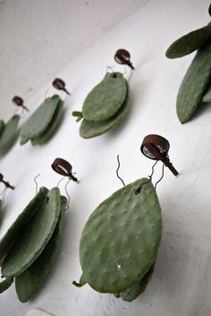 several bugs are sitting on the leaves of a cactus