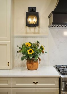 a potted plant sitting on top of a kitchen counter next to a stove and oven