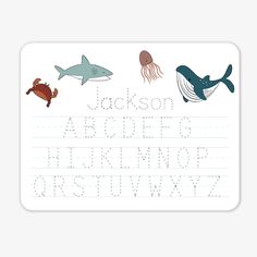 ocean animal whiteboard personalized Sea Alphabet, Daycare Lesson Plans, Classical Homeschool, Personalized Water Bottles Kids, Uppercase Alphabet, Practice Writing, Ways Of Learning, Personalized Gifts For Kids, Baby Bundles