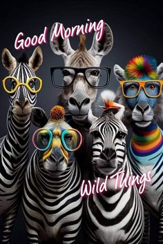 three zebras wearing glasses and hats with the words good morning wild things