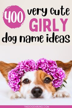 a dog with flowers in its hair and the words, 100 very cute girl dog name ideas