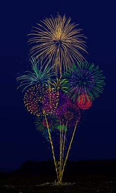 fireworks are lit up in the night sky with colorful lights on them, and they appear to be exploding