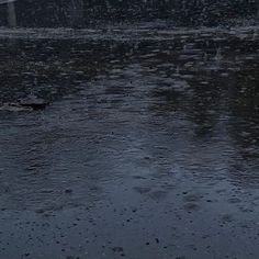 an umbrella sitting on top of a wet ground next to a street sign in the rain