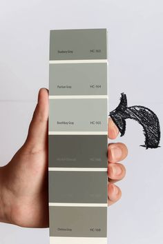 a hand holding a pantone color swatch in front of a white background with black and gray colors