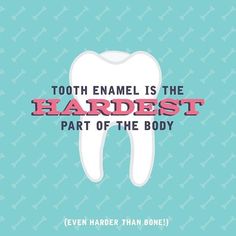 #DIDYOUKNOW that tooth enamel is the hardest substance in your entire body? Help it stay that way with good oral health habits like brushing flossing and regular dental visits! Continue your healthy habits by scheduling your next dental exam with us call today! (210) 998-3013 #rhnfdentistry #smile #teeth #cleaning #dentistry #bestinsanantonio #sanantonio #sadentist #sanantoniodentist #texasdentist #txdentist #cleaneats #healthyliving #oralhealth #toothbrush #healthyteeth #happyteeth #cosmeticden Dental Bridge Cost, Dental Quotes, Dental Social Media, Dental Posts, Dental Exam, Dental Marketing, Health Post