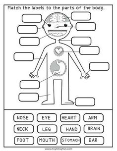 the body worksheet for kids to learn how to read and label it out