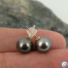 Lovely classic stud earrings, made of 14K solid yellow gold with an organic natural color, Tahitian South Sea cultured pearls from French Polynesia. Each of the genuine saltwater pearl exhibits a high luster, thicker nacre & smooth surface with just a minor natural spots. Style: Classic Hook. Metal Purity: 14K solid yellow gold. Fastening: 14K Solid yellow Gold. Closure: Butterfly ear-backs with silicone jackets. Pearl Type: Genuine Tahitian Seawater Cultured Pearl. Pearl Origin: French Poly Classic Tahitian Pearl Earrings As Gift, Classic Tahitian Pearl Earrings For Gift, Classic Gold Tahitian Pearl Earrings, Tahitian Pearl Round Anniversary Earrings, Golden South Sea Pearls, Saltwater Pearls, French Polynesia, South Seas, South Sea Pearls